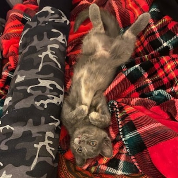 Meet your Posher, Carly - Picture 5 of 16